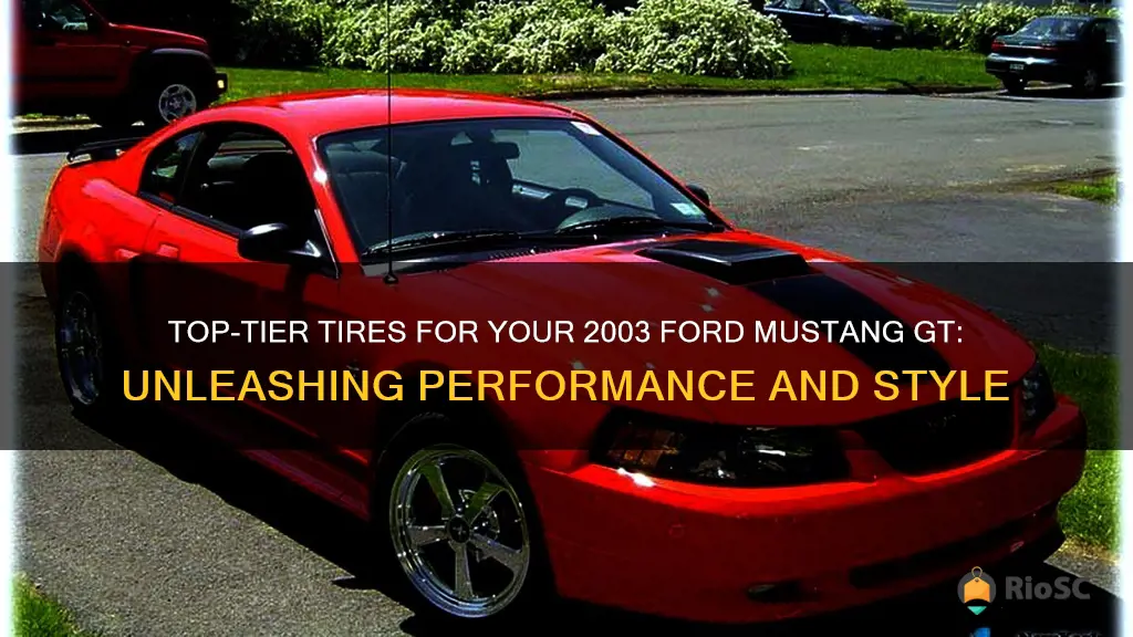 best tires for 2003 ford mustang gt