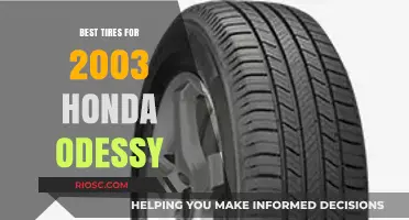 Top-Rated Tires for Your 2003 Honda Odyssey: Performance, Durability, and Value