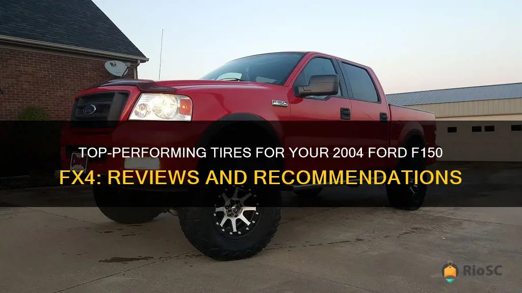 best tires for 2004 ford f150 fx4