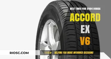 Top-Rated Tires for 2004 Honda Accord EX V6: Performance, Comfort, and Durability