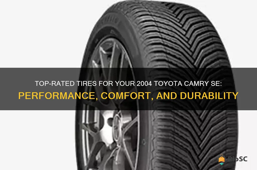 best tires for 2004 toyota camry se