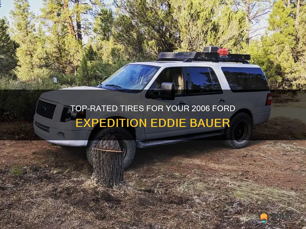 best tires for 2006 ford expedition eddie bauer