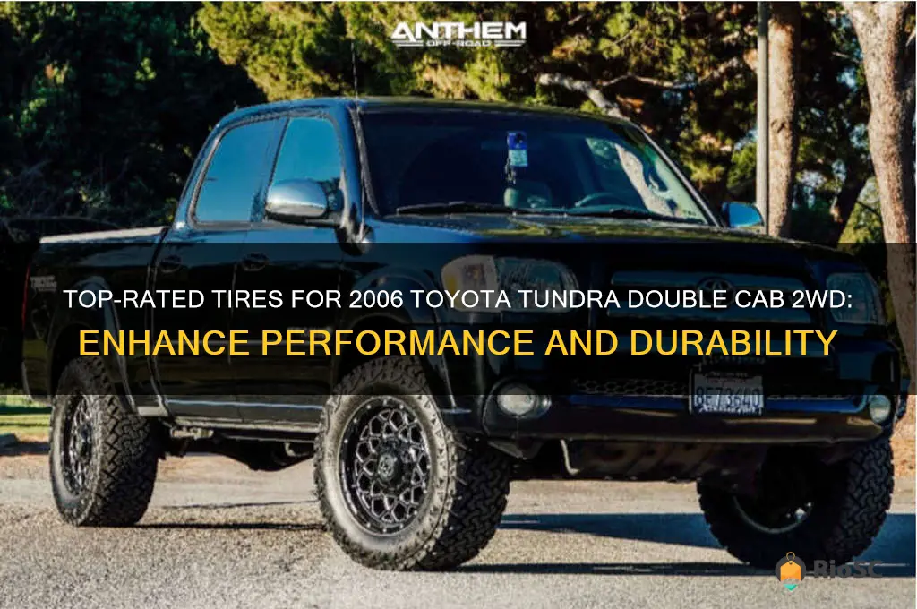 best tires for 2006 toyota tundra double cab 2wd