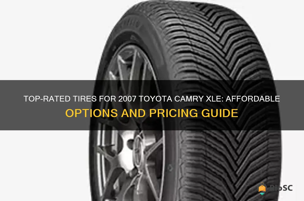 best tires for 2007 toyota camry xle prices