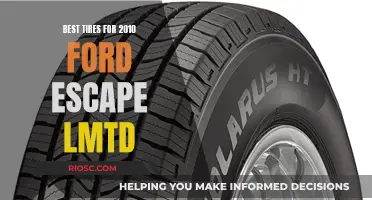 Top-Performing Tires for a Smooth 2010 Ford Escape Ride