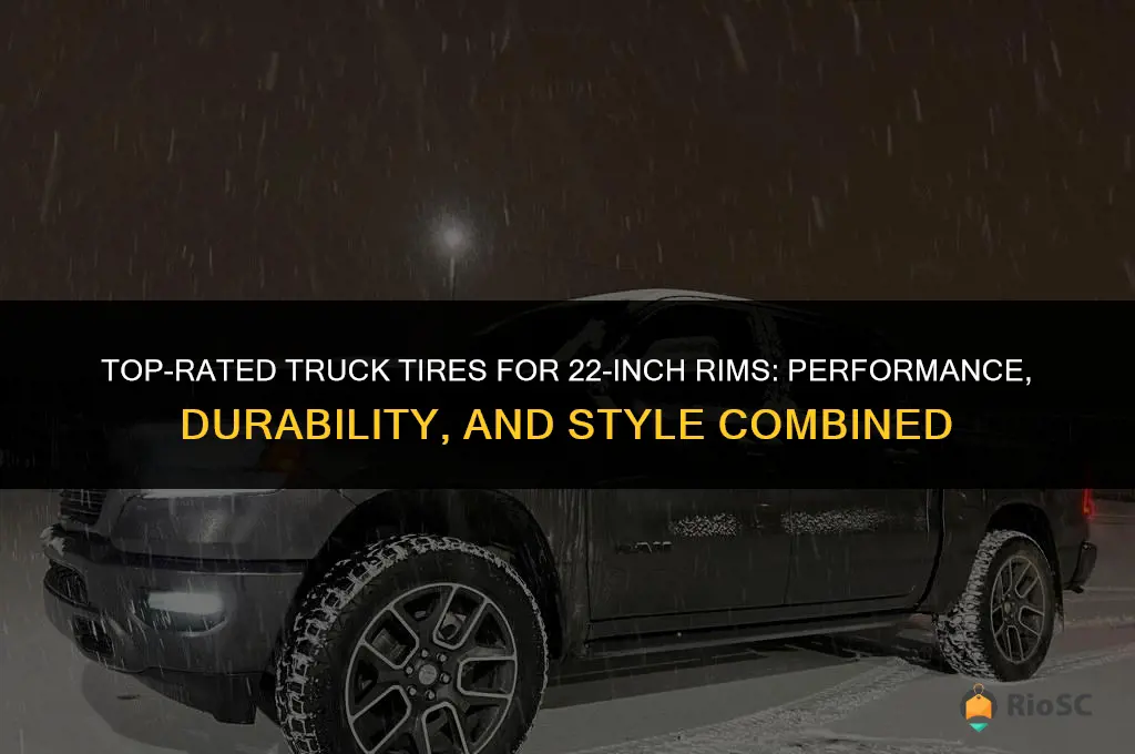 best tires for 22 inch rims on truck