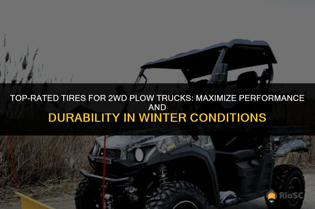 best tires for 2wd plow truck