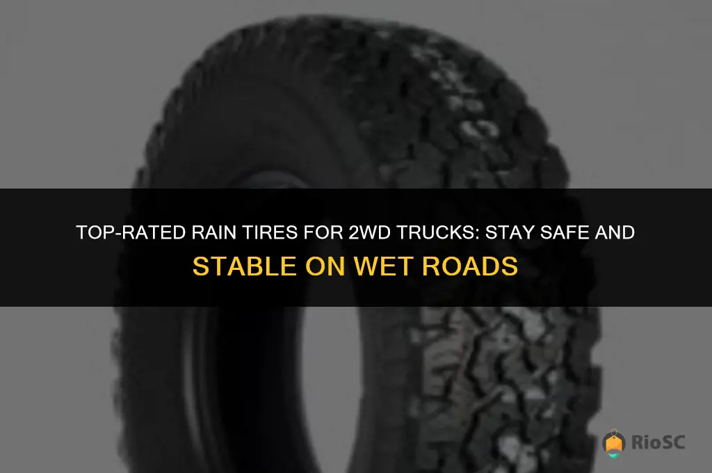 best tires for 2wd truck in rain