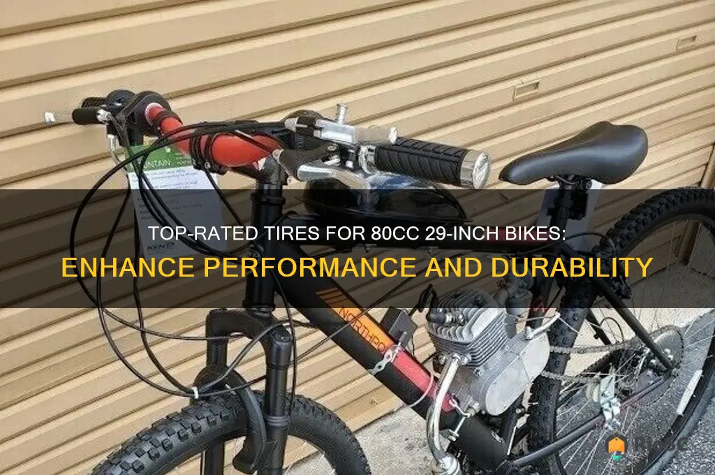 best tires for 80cc 29 bike