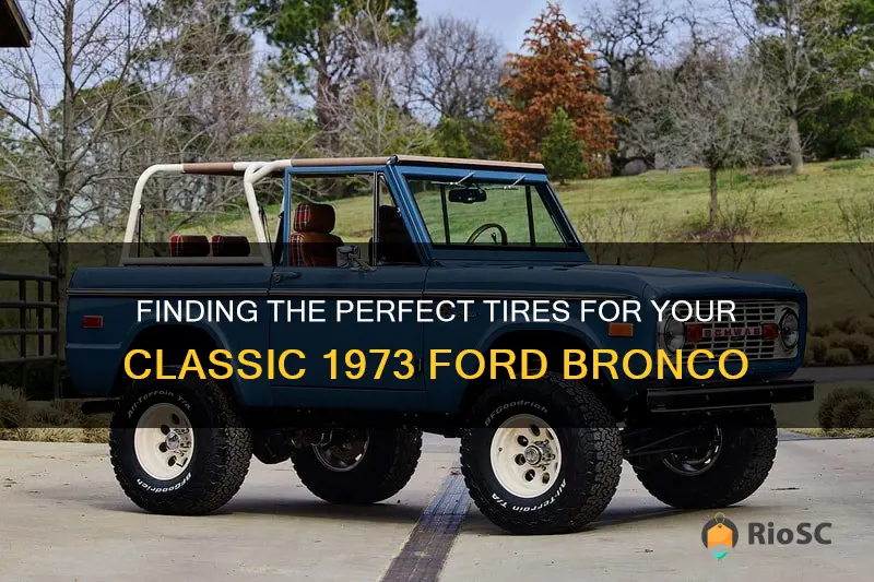 best tires for a 1973 ford bronco