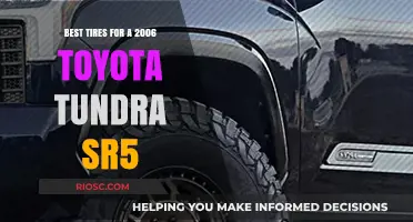 Top-Rated Tires to Enhance Your 2006 Toyota Tundra SR5's Performance and Durability