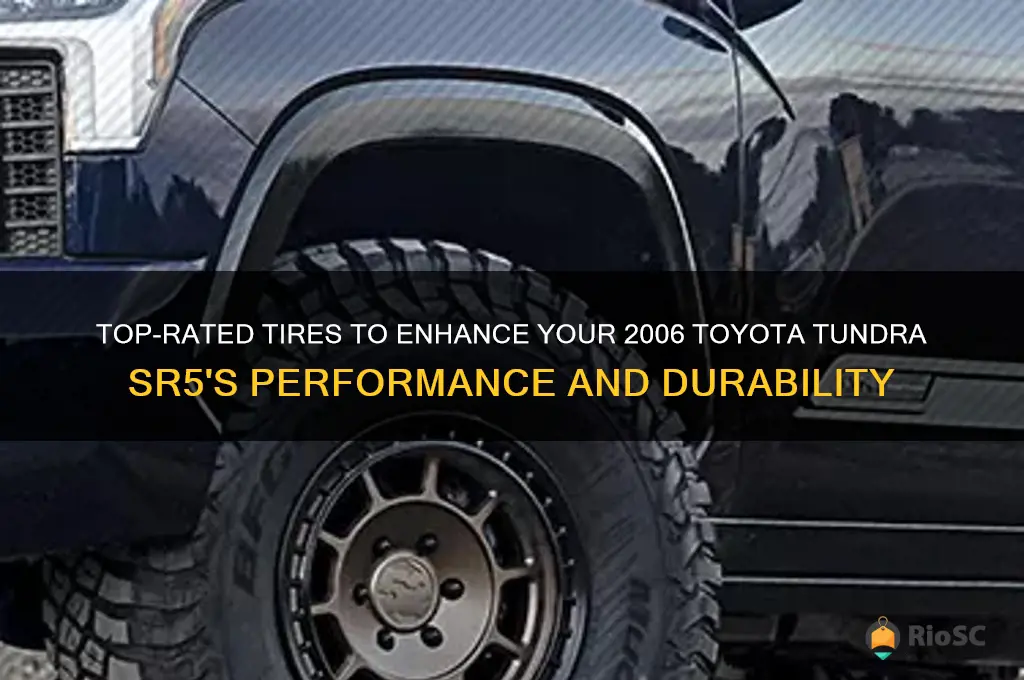 best tires for a 2006 toyota tundra sr5