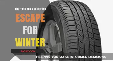 Top Winter Tire Picks for Your 2008 Ford Escape: Stay Safe and Warm on the Road