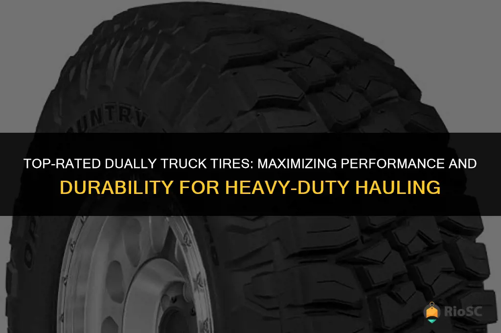 best tires for a dually truck