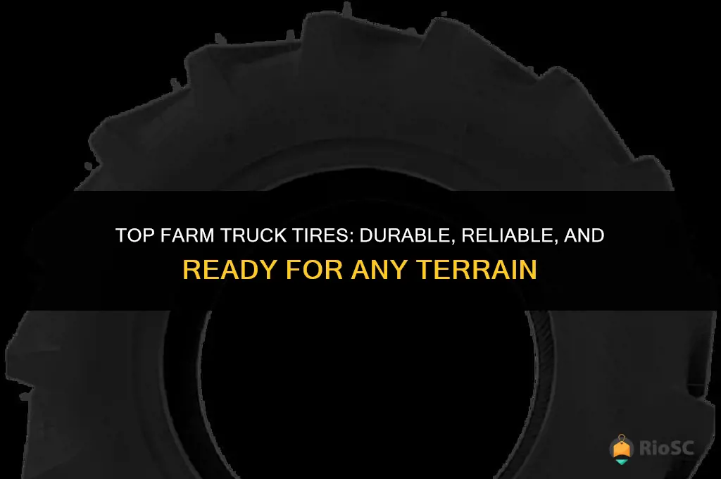 best tires for a farm truck