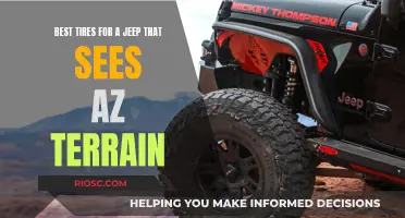 Jeep Wranglers and the Desert: Choosing the Right Tires for Arizona Terrain