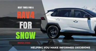 Top Winter Tire Picks for Your RAV4: Stay Safe and Mobile in Snowy Conditions