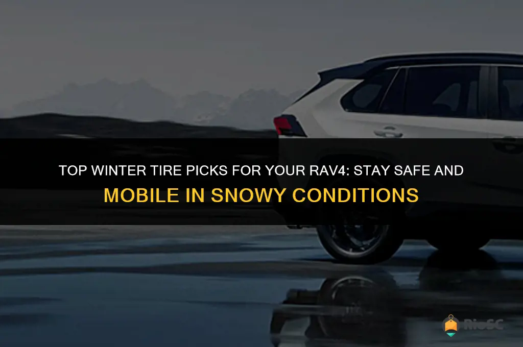 best tires for a rav4 for snow