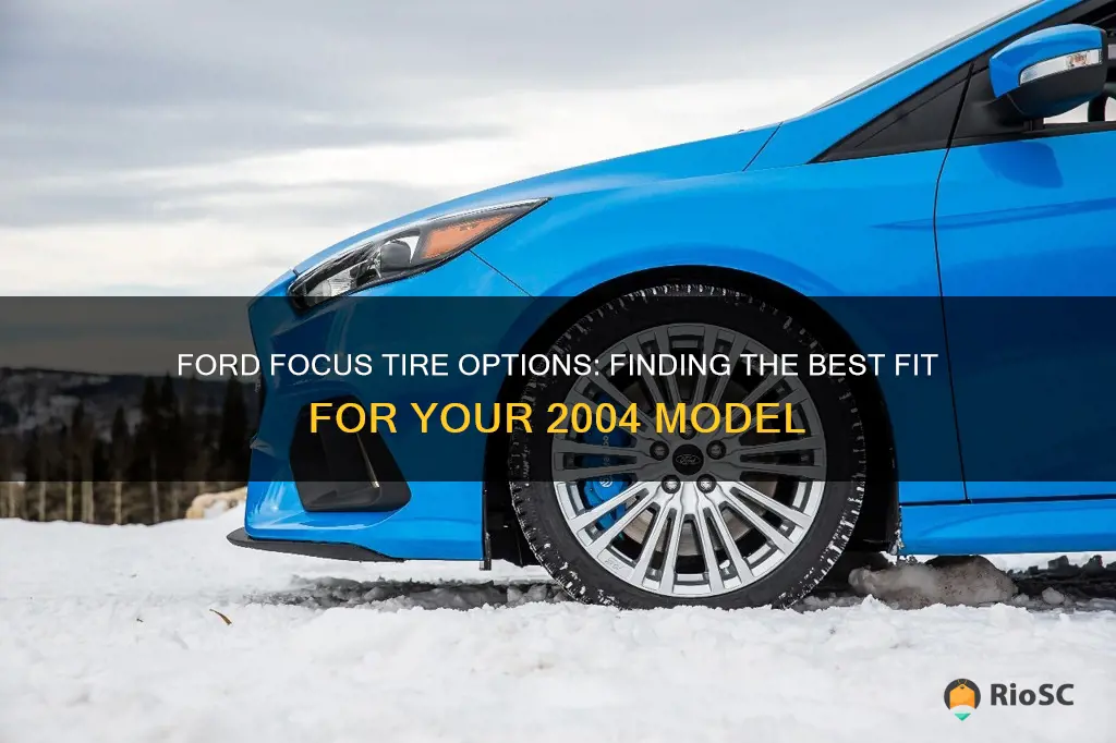 best tires for a2004 ford focus