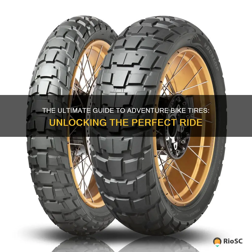 best tires for adventure bikes