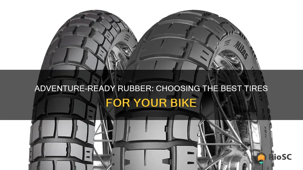 best tires for adventure bikes