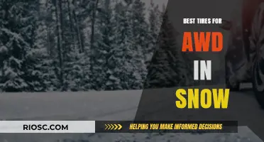 Top Winter Performers: Best Tires for AWD Vehicles in Snowy Conditions