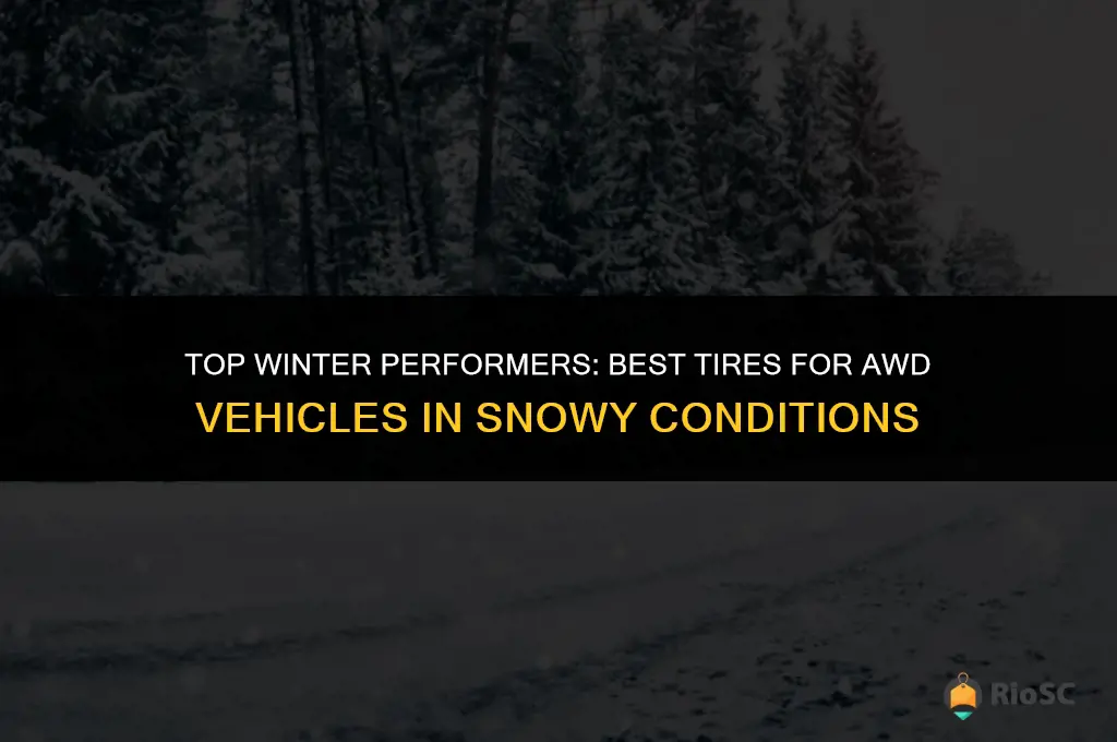 best tires for awd in snow