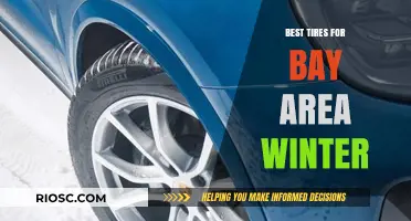 Top Winter Tire Picks for Bay Area Drivers: Stay Safe on Slick Roads