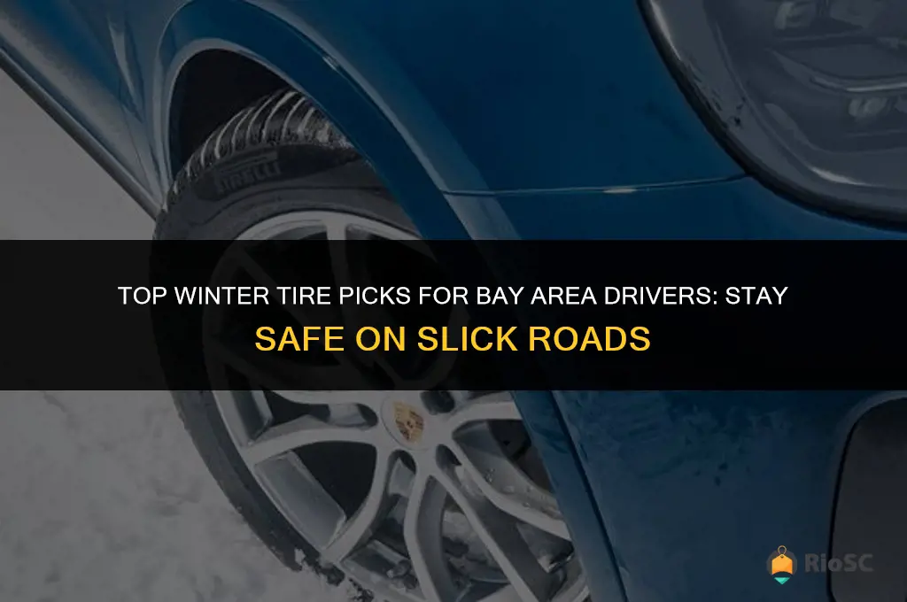 best tires for bay area winter