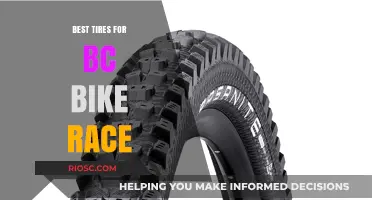Top-Performing Tires for Dominating the BC Bike Race: Expert Recommendations