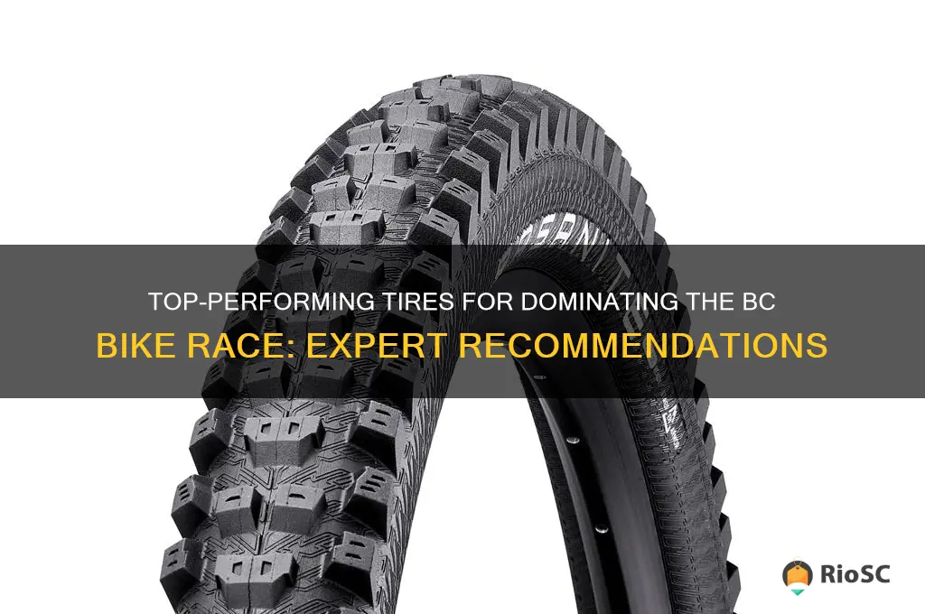 best tires for bc bike race