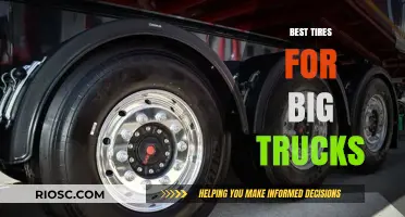 Top-Rated Tires for Big Trucks: Durability, Performance, and Safety Combined