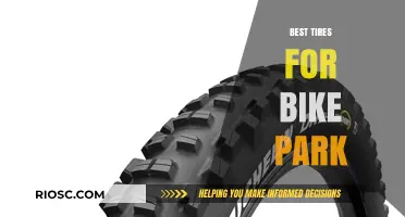 Top-Rated Tires for Bike Park Thrills: Maximize Grip, Durability, and Performance
