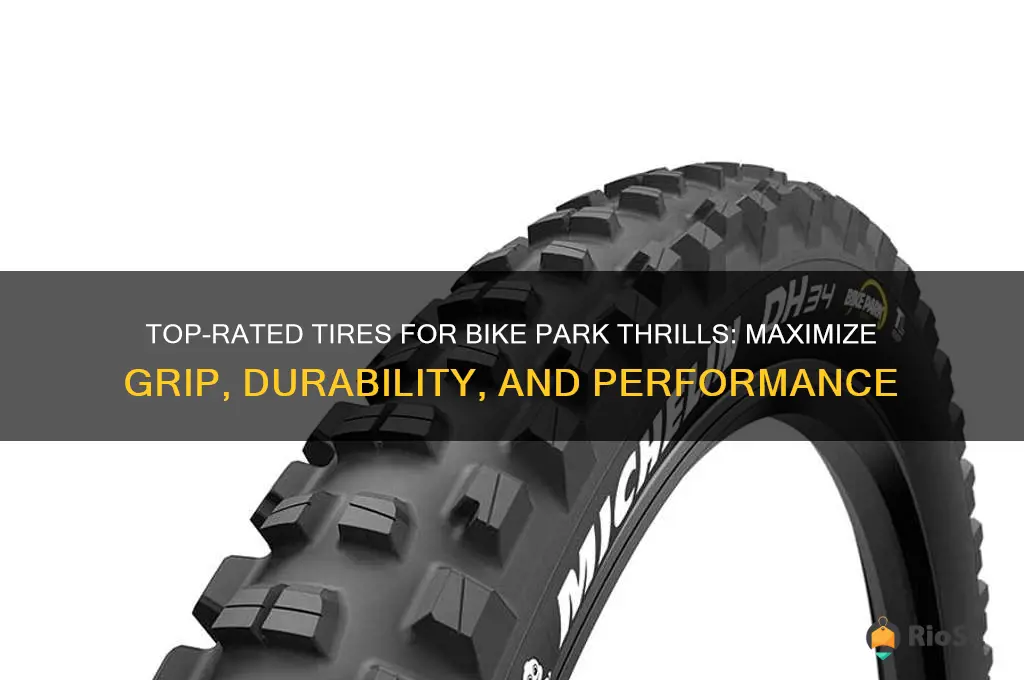 best tires for bike park