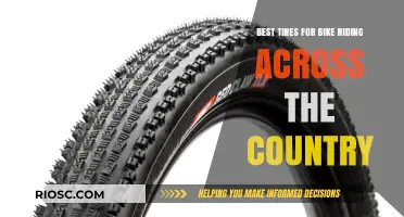 Ultimate Guide to Choosing the Best Tires for Cross-Country Bike Adventures