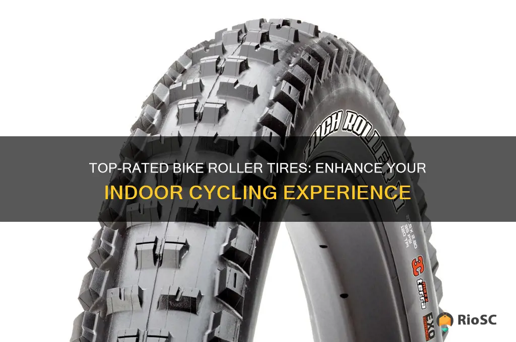 best tires for bike rollers