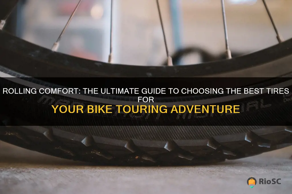 best tires for bike touring