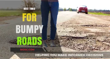 Smooth Ride Ahead: Top Tires for Navigating Bumpy Roads with Ease