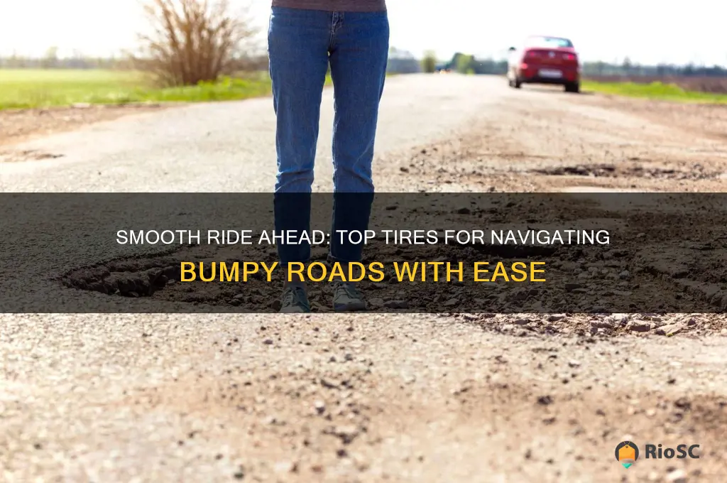 best tires for bumpy roads