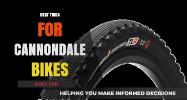 Top-Rated Tires to Enhance Your Cannondale Bike's Performance and Ride Quality