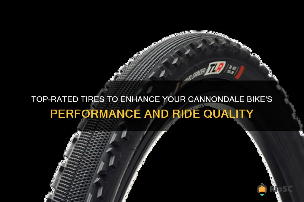 best tires for cannondale bikes