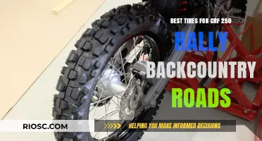 Top Tire Picks for Your CRF 250 Rally: Dominate Backcountry Roads with Confidence