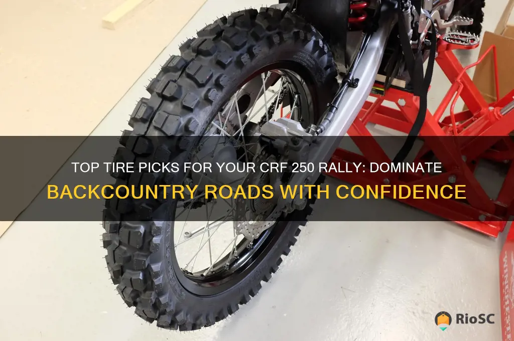 best tires for crf 250 rally backcountry roads
