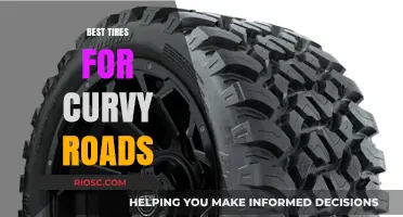 Mastering the Twists: Top Tires for Curvy Roads and Enhanced Performance