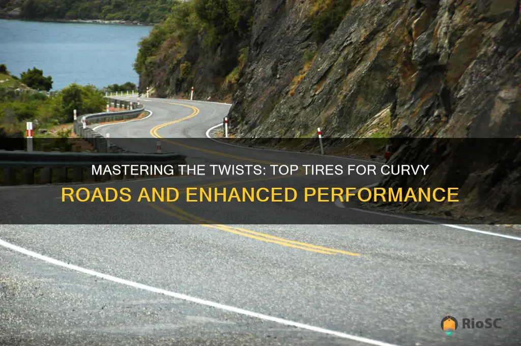 best tires for curvy roads