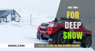 Conquering Winter's Grip: Top Tires for Deep Snow Performance