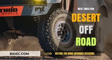 Conquer the Desert: Top Off-Road Tires for Extreme Terrain and Performance
