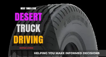 Top Desert Truck Tires: Ultimate Performance for Sand, Heat, and Rough Terrain