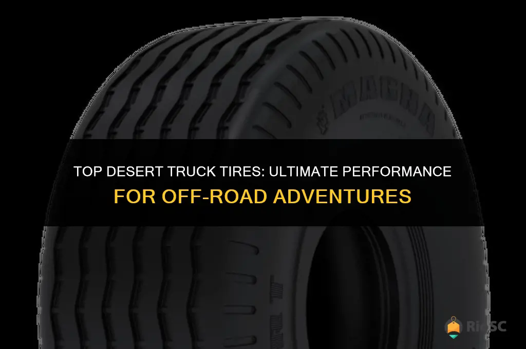 best tires for desrt truck driving