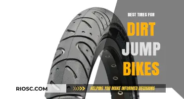 Top-Rated Tires for Dirt Jump Bikes: Enhance Your Ride and Performance